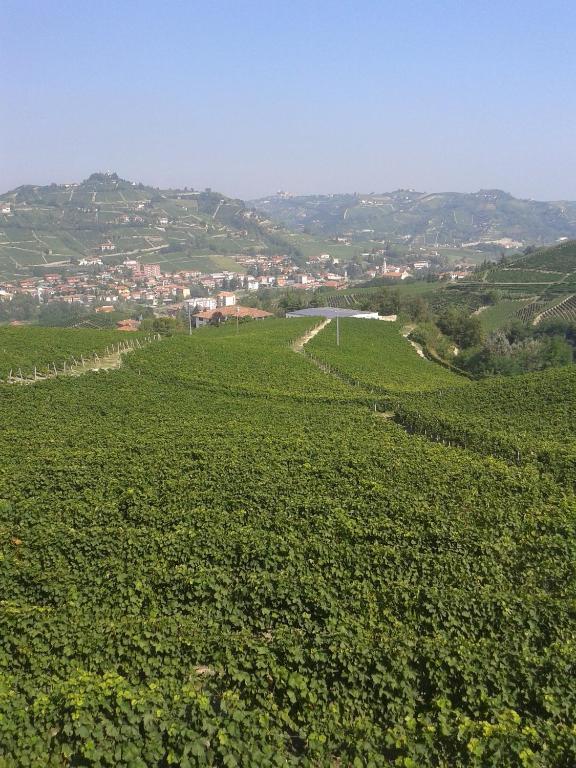 Agriturismo Ai Piacentini ซานโตสเตฟาโน เบลโบ ภายนอก รูปภาพ
