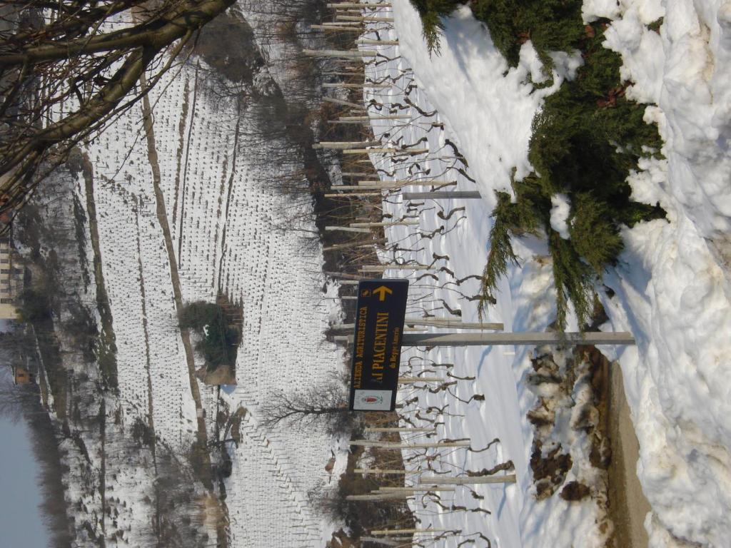 Agriturismo Ai Piacentini ซานโตสเตฟาโน เบลโบ ภายนอก รูปภาพ