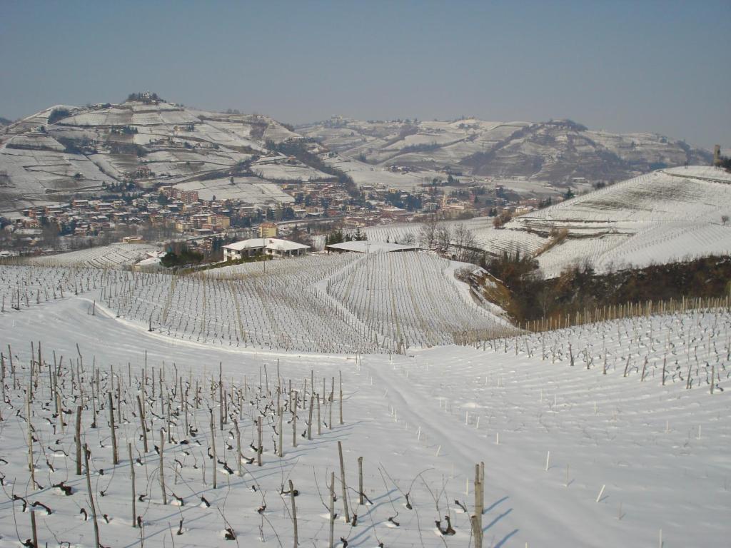 Agriturismo Ai Piacentini ซานโตสเตฟาโน เบลโบ ภายนอก รูปภาพ