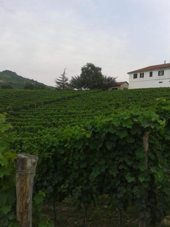 Agriturismo Ai Piacentini ซานโตสเตฟาโน เบลโบ ภายนอก รูปภาพ
